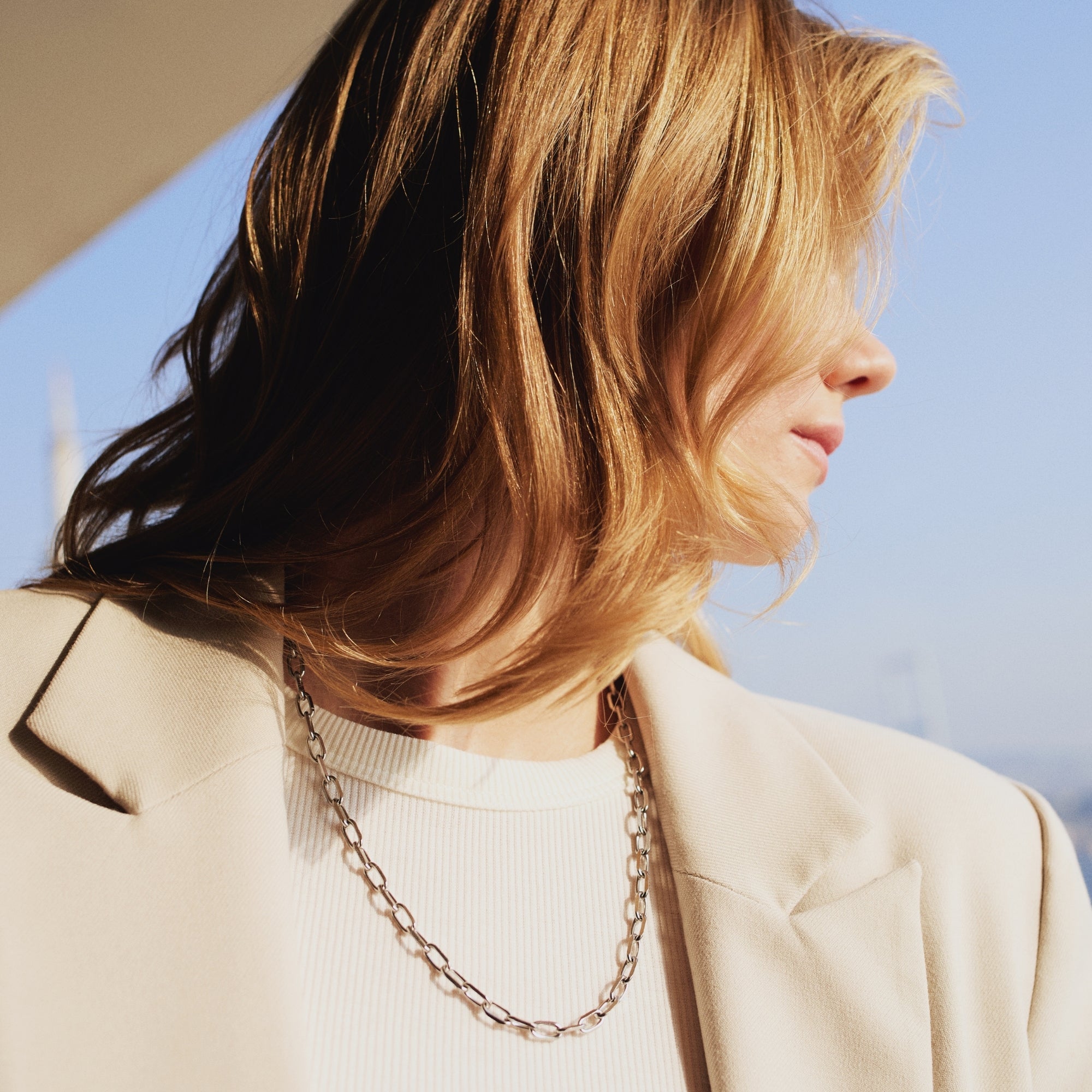 Forsa Necklace in Silver