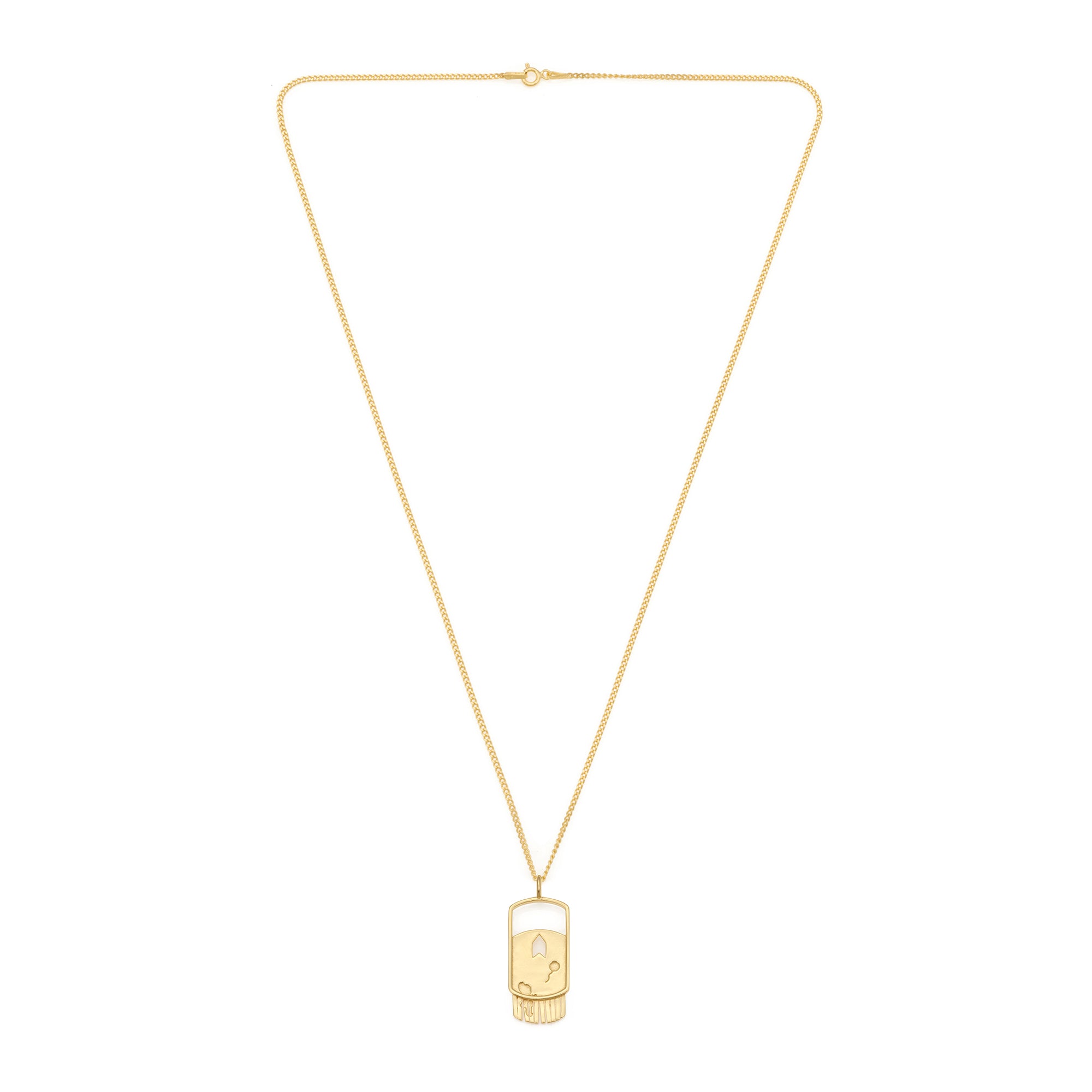 Show Necklace in Gold