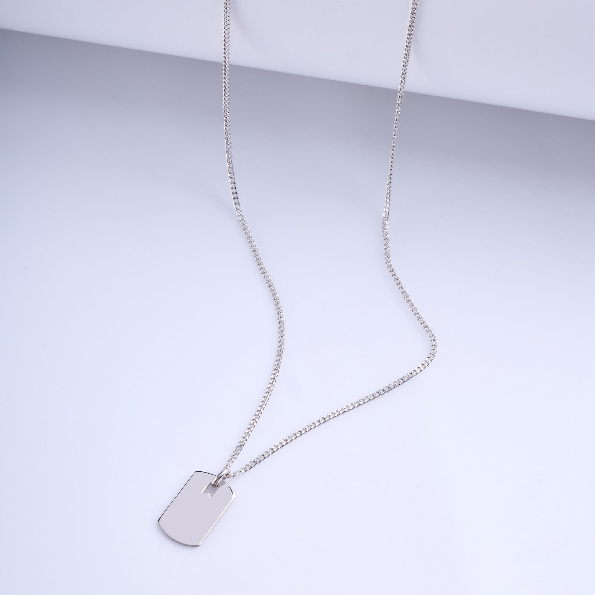 Small Plate Necklace in Silver