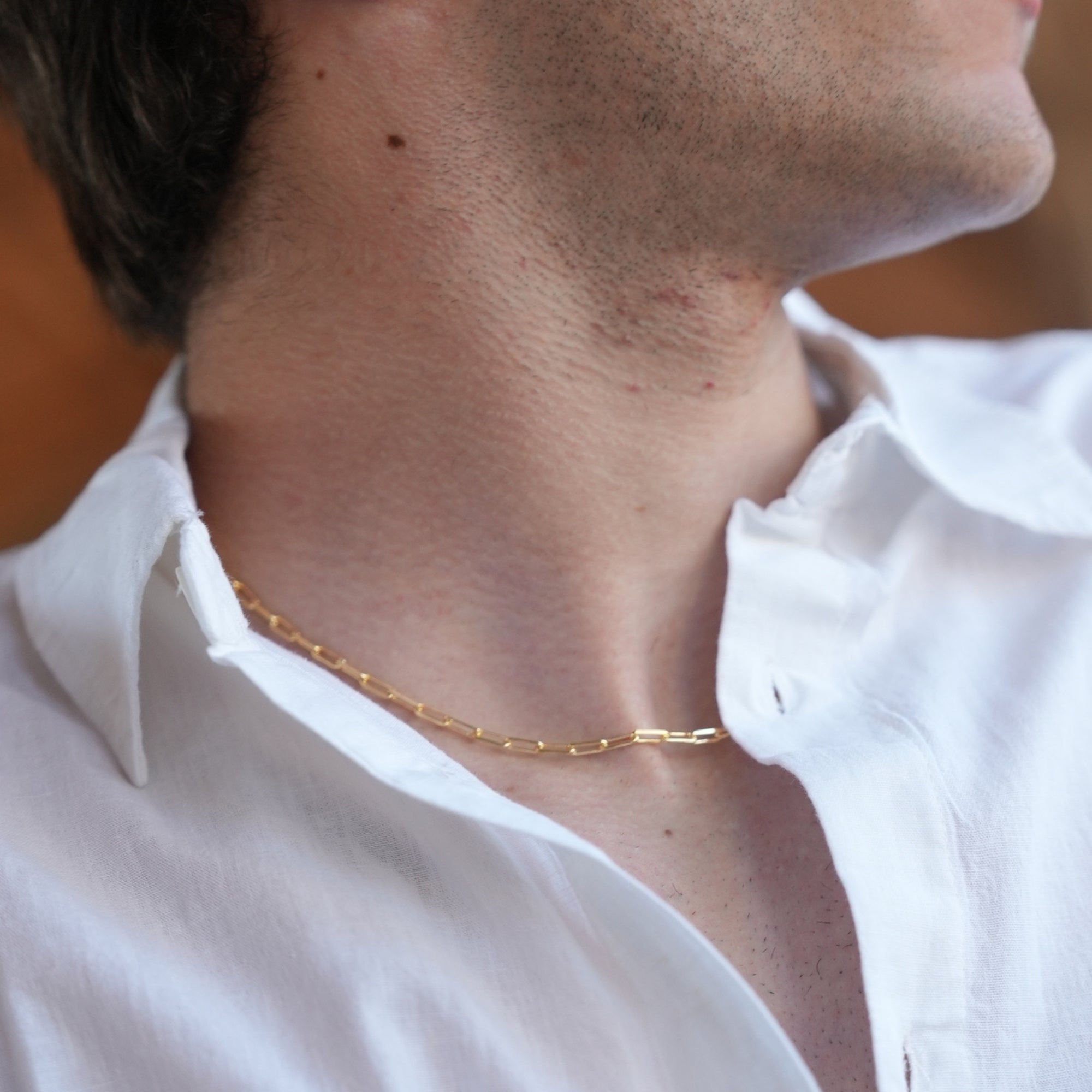 Paperclip Chain Necklace in Gold