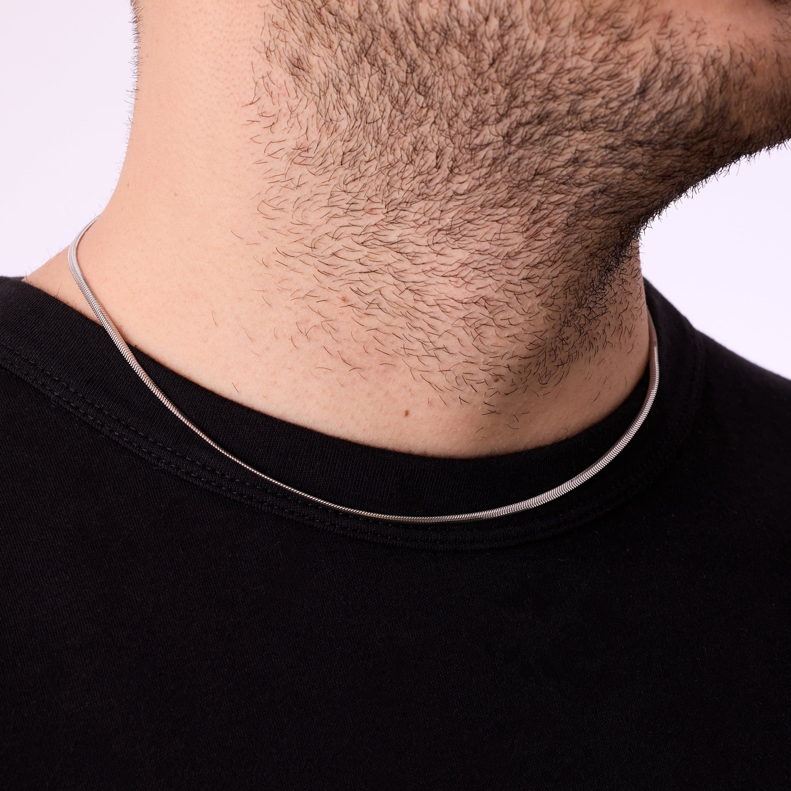 Snake Chain Necklace in Silver