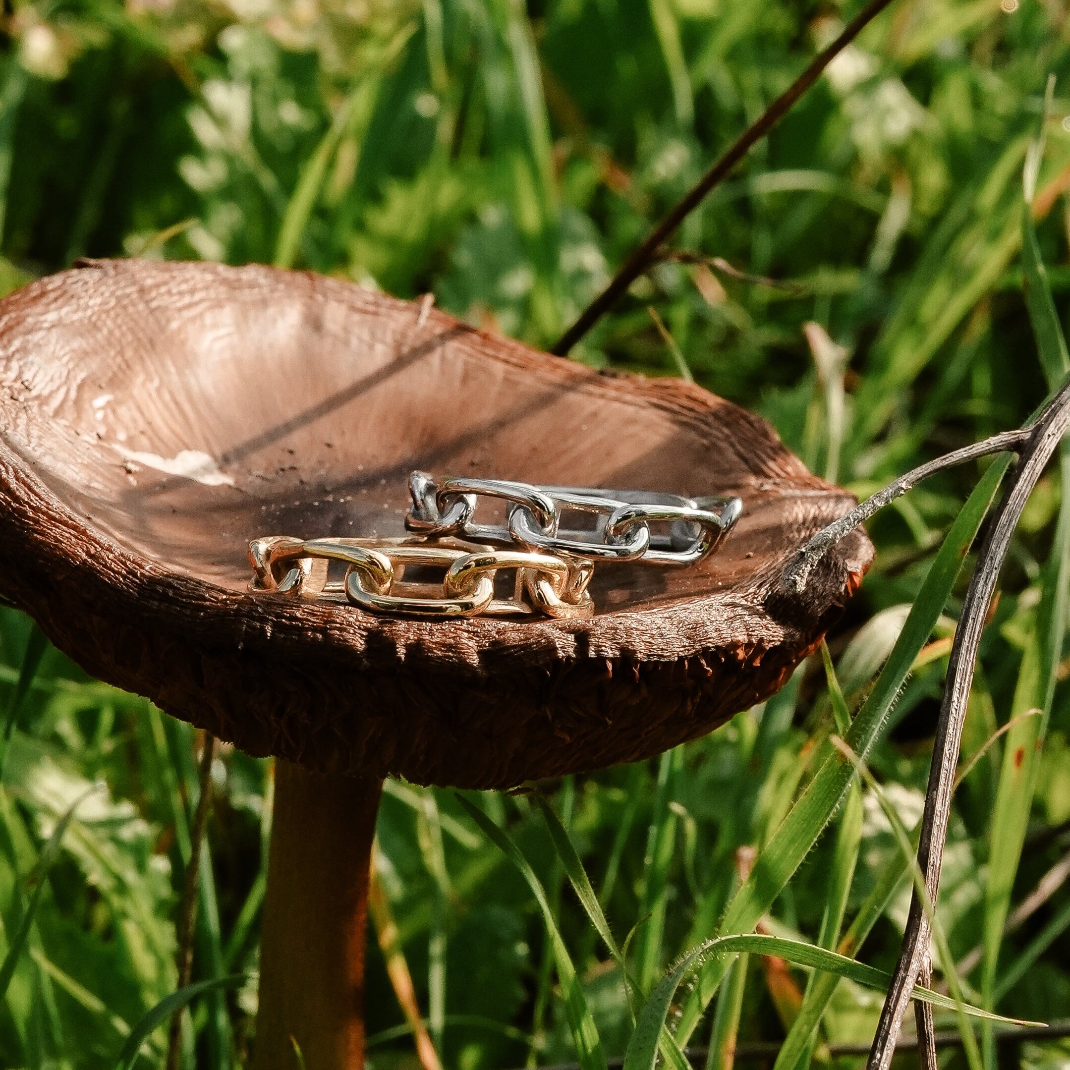 Forsa Ring in Silver