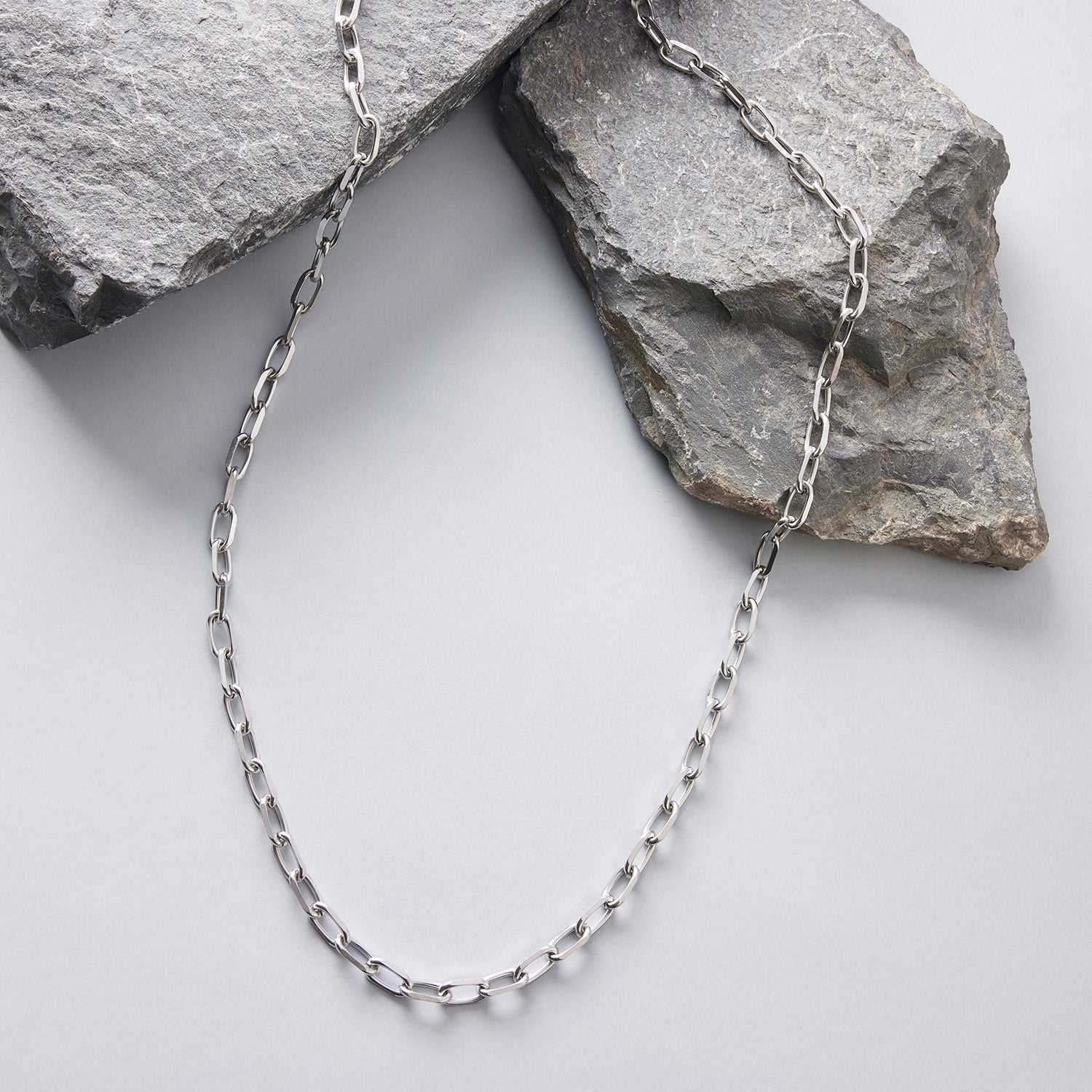 Forsa Necklace in Silver