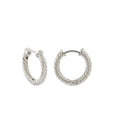 Helical Earrings in Silver