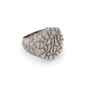 Special Stone Ring in Silver